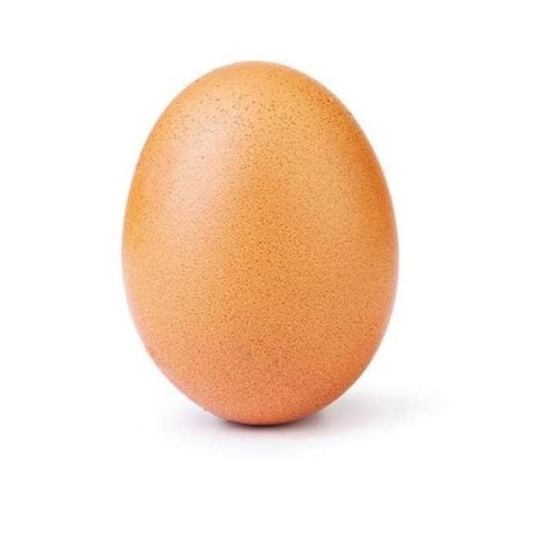 avatars-qCVbiirpWzvAgX89-m9zFXw-t500x500