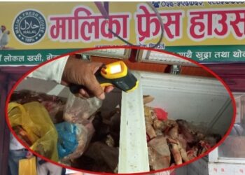 चितवनको फ्रेस हाउसमा भेटियो ५ बोरा कुहिएको मासु, किमा बनाएर किङ्ग मः म विक्री गरिन्थ्यो