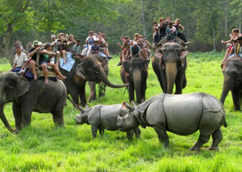 चितवन राष्ट्रिय निकुञ्ज घुम्ने विदेशी पर्यटकको सङ्ख्यामा वृद्धि
