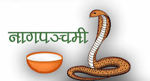 आज नागपञ्चमी ,परम्पराअनुसार नागको पूजा गरी मनाइँँदै
