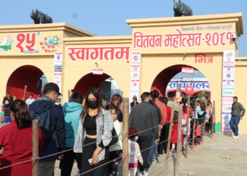 चितवन महोत्सवले भरिभराउ बन्यो नारायणी : सहभागीहरुको घुइँचो बढ्दै