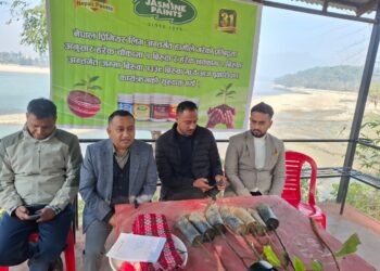 जोर कुसुम पार्कमा जस्मिनको बृक्षारोपण