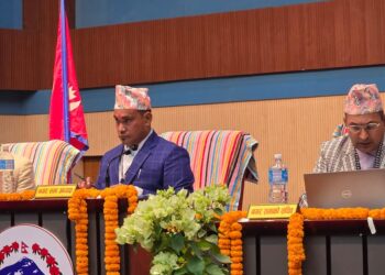 रत्ननगर नगरपालिकाको नगरसभामा ११ विधेयक पारित